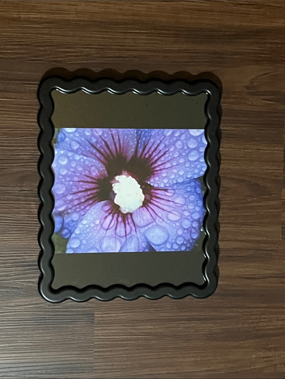 Purple Floral Art 8x10